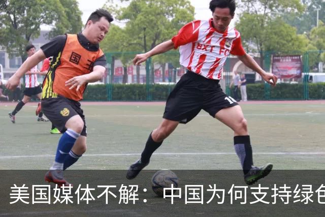 美国媒体不解：中国为何支持绿色能源与电动车而不抗议？